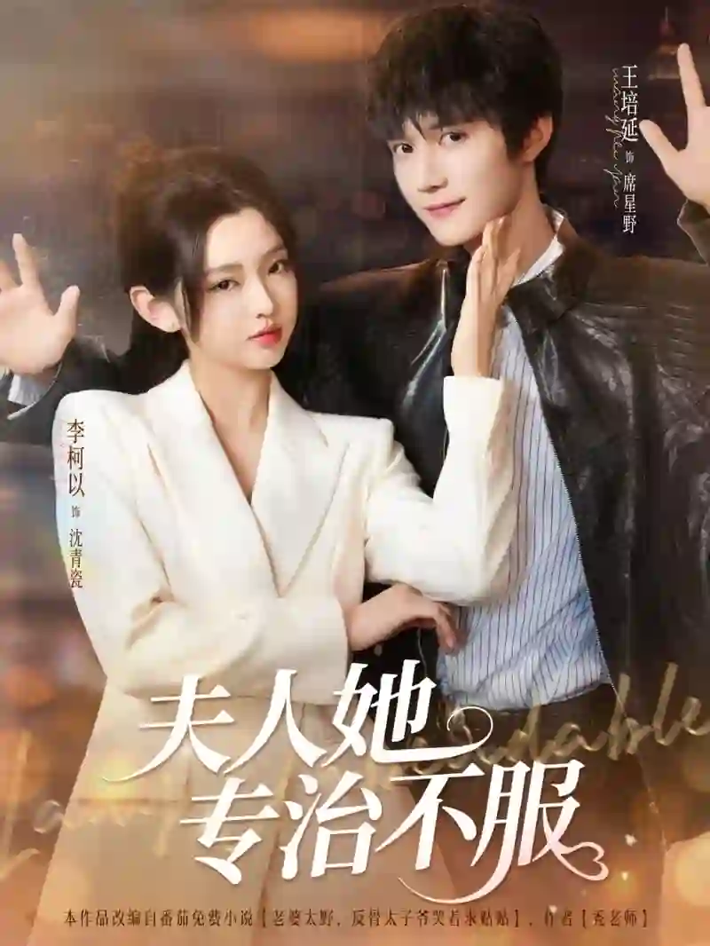 苦情王妃她专治不服